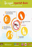 Aedes - Tips Mencegah Nyamuk Aedes